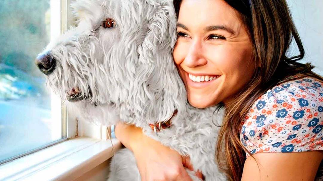 Prix BetterwithPets : PURINA