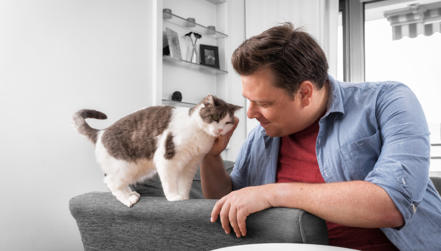 Homme avec chat gris et blanc 