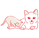 catBS