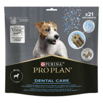 Dental Care Small