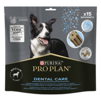 Dental Care Medium