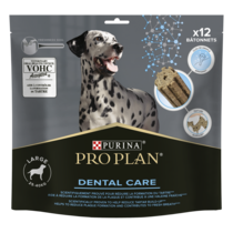 Dental Care Large