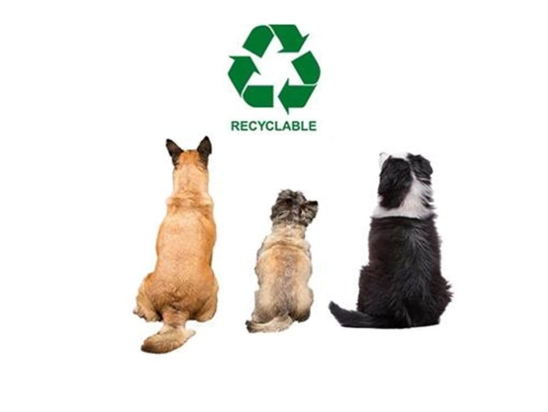 emballage recyclable 