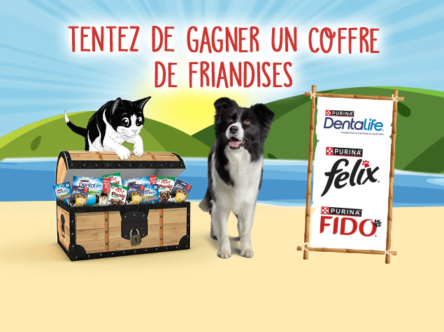 Tentez de gagner un coffre rempli de friandises PURINA®.