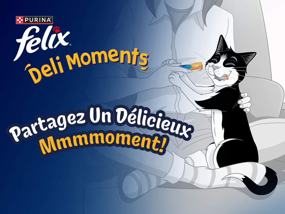 Friandises pour chat pour Deli MomentsTM Felix®
