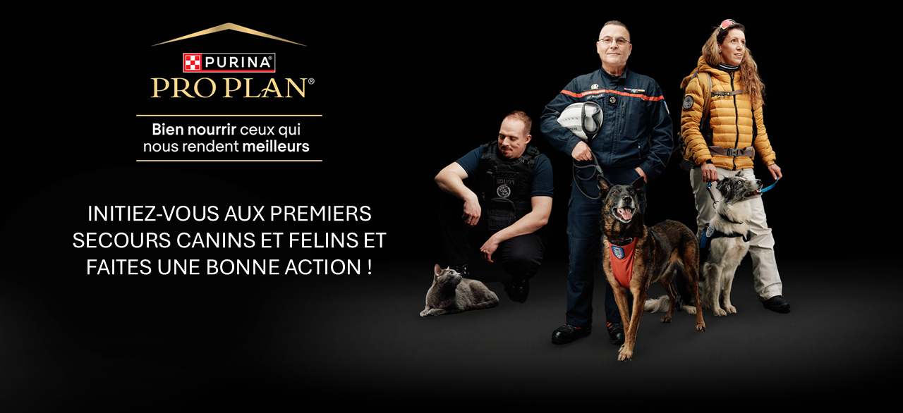 PRO PLAN® France lance sa formation solidaire en faveur des chiens de sauvetage en montagne !