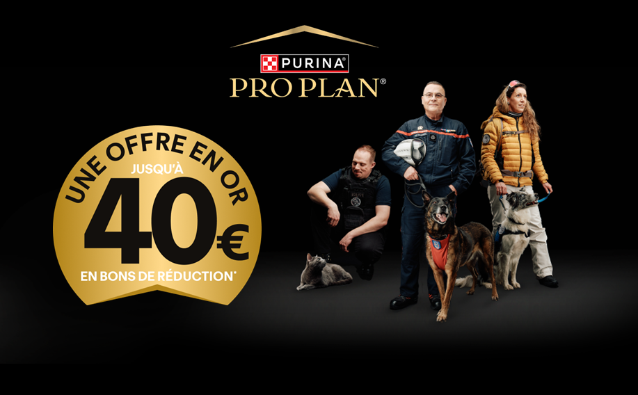 Bon Plan