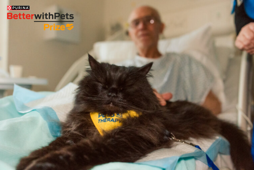 Purina lance la quatrième édition du Prix Better With Pets | Purina FR