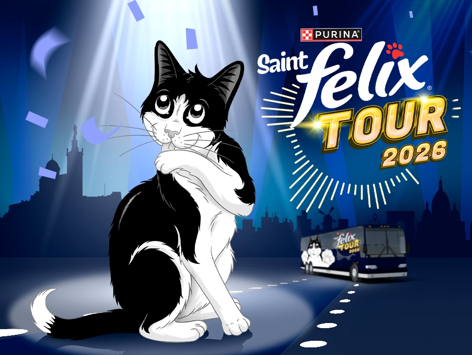 Felix Tour 2026