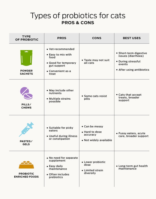 Comparatif : choisir son type de probiotique pour chat