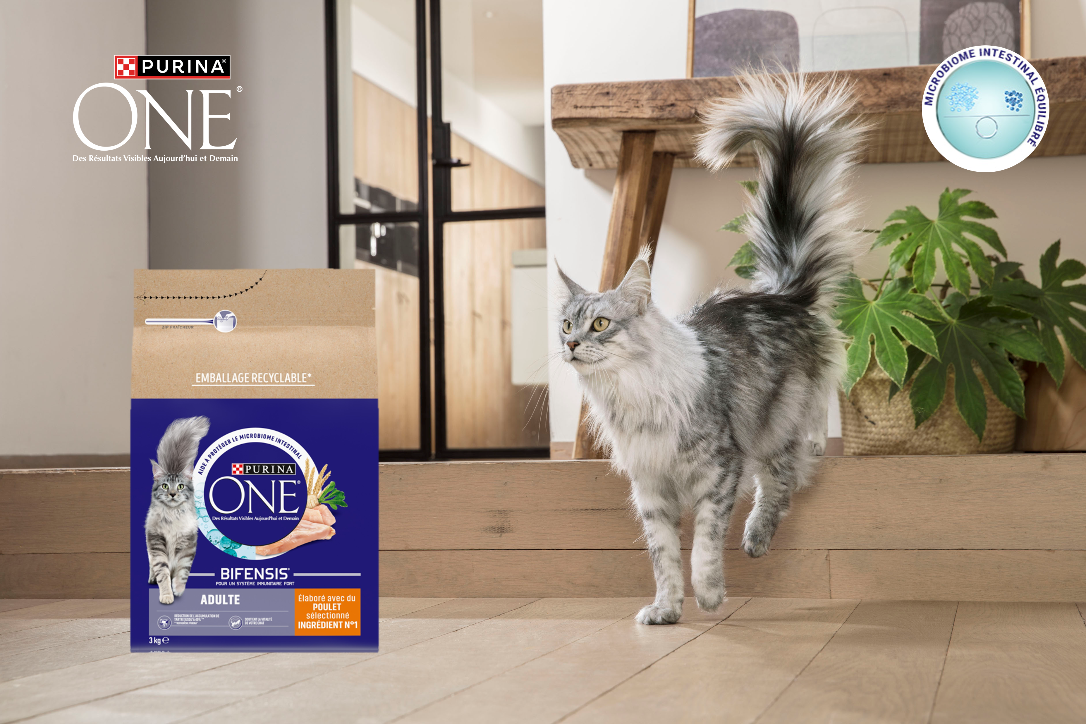 Purina® ONE® Bifensis® résultat visible aujourd'hui et demain