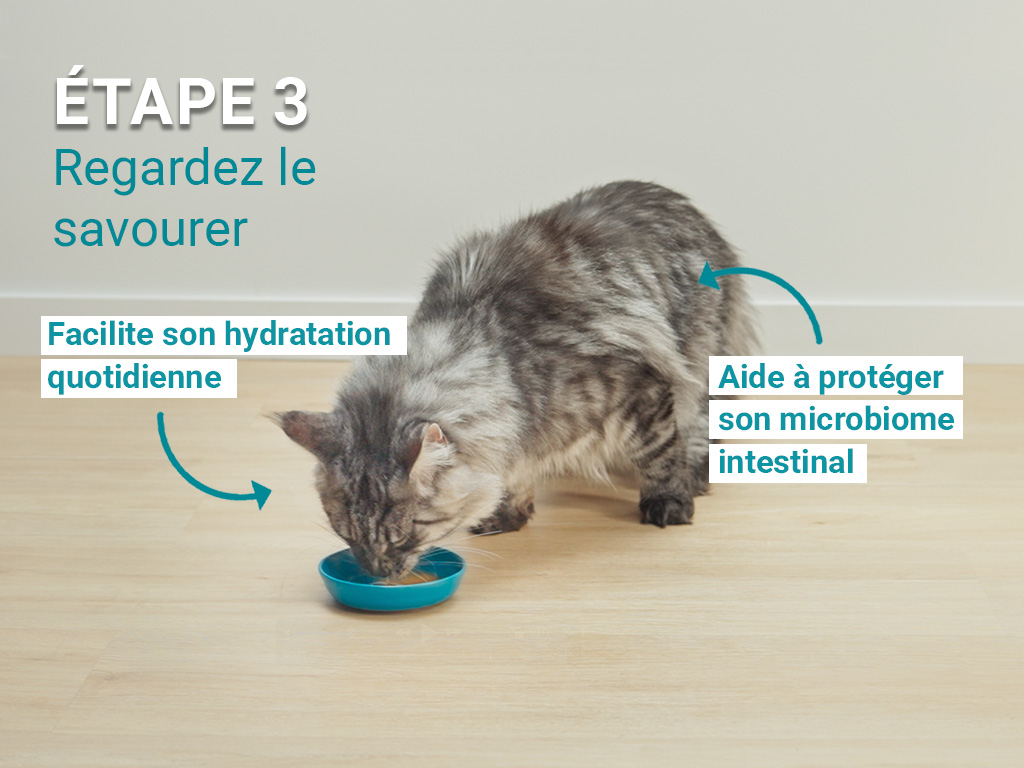 Step 3 Étape 3