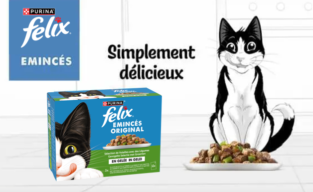 Emincés en Gelée