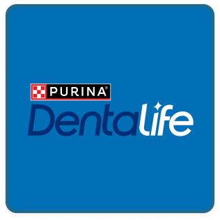 Dentalife logo