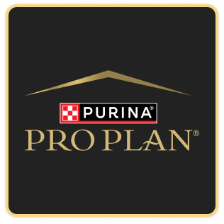 Pro Plan logo