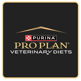 PPVD logo