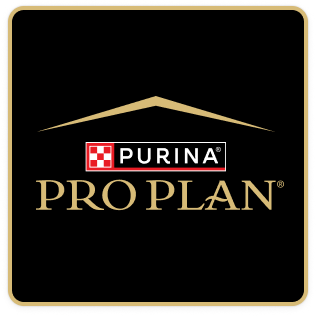 Pro Plan logo