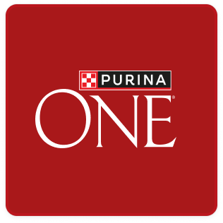 Purina ONE Chien