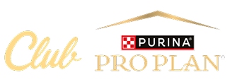 Pro Plan