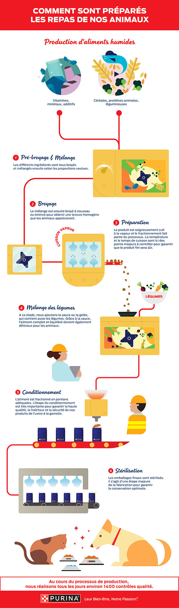 Infographie six étapes production aliments humides Purina pour chiens chats