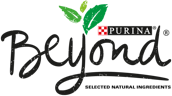 Beyond®
