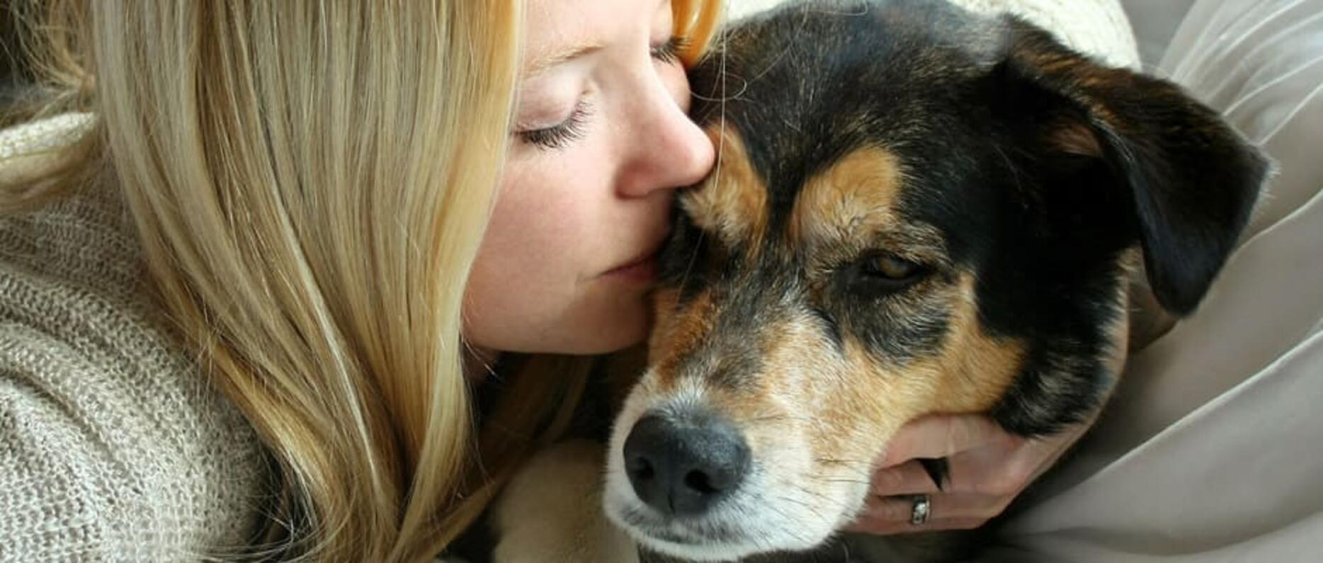 Éduquer un chien agressif, peureux, dominant ou possessif