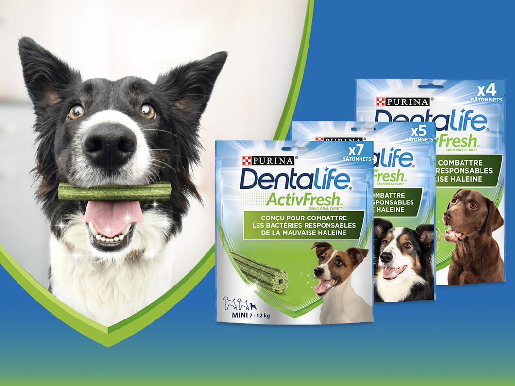 DENTALIFE® ActivFresh® 