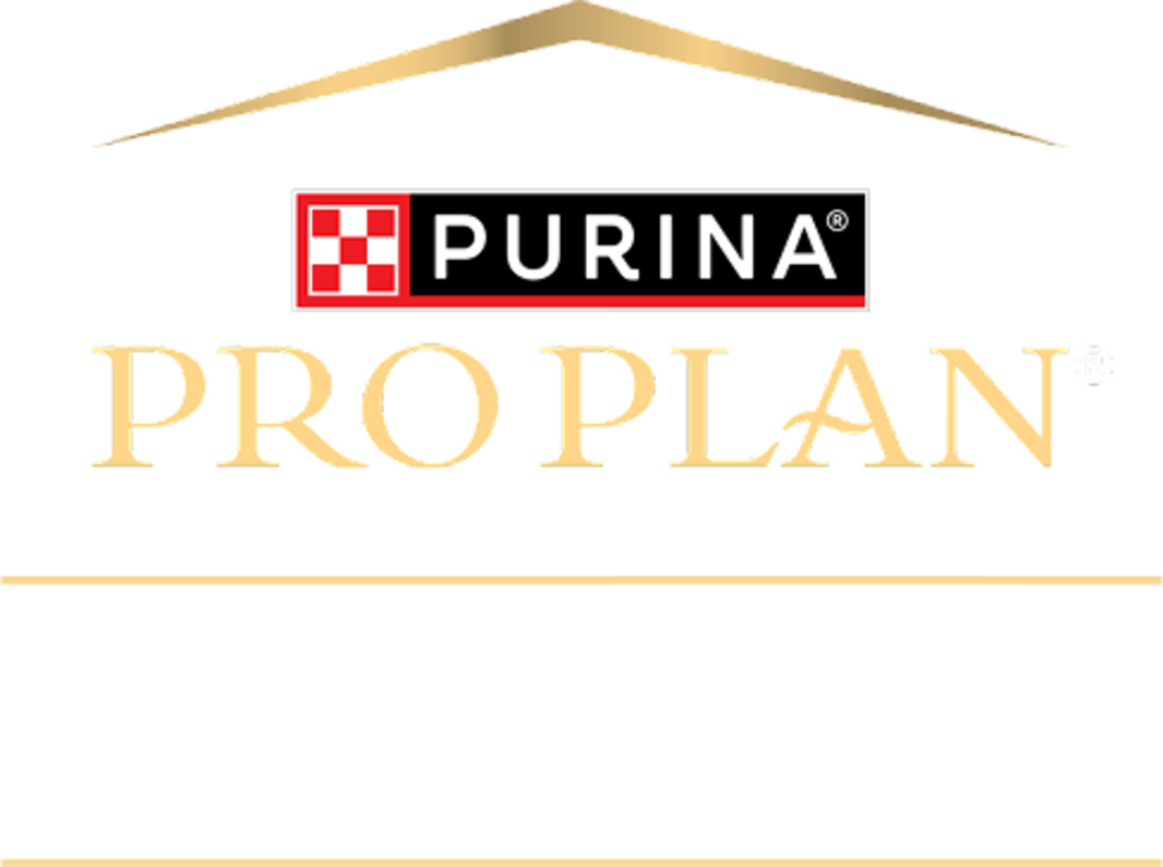 Pro Plan logo