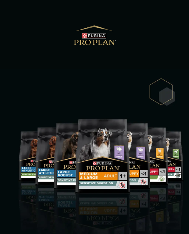 Pro Plan Chien