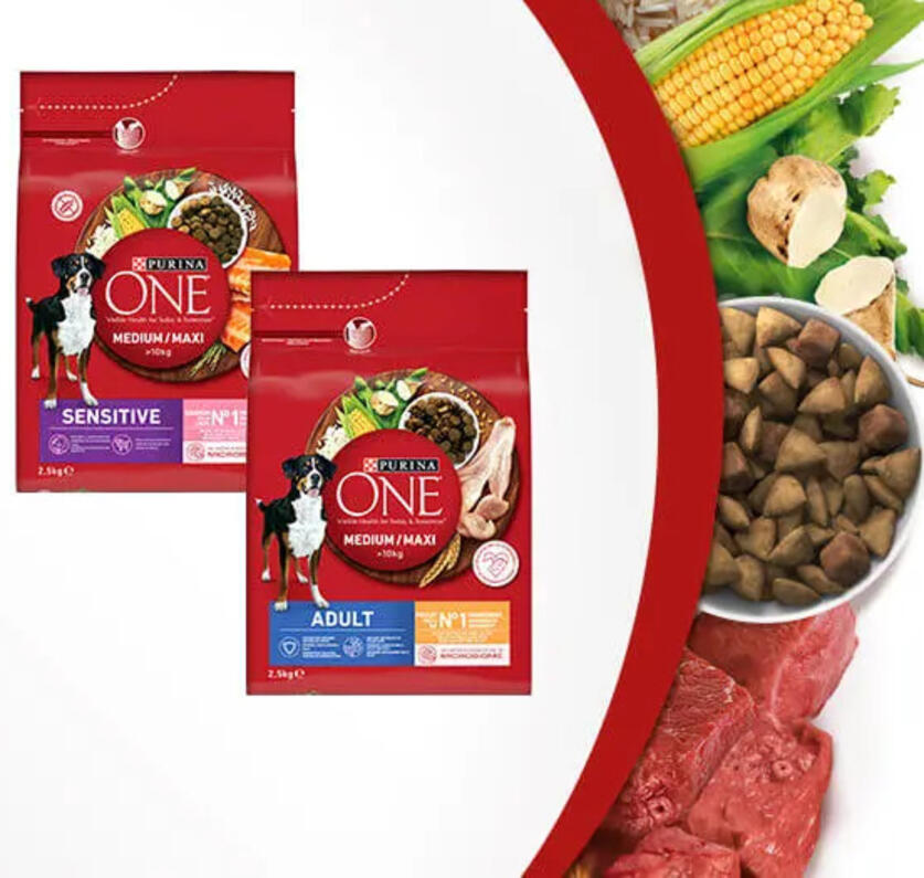 Purina ONE Chien