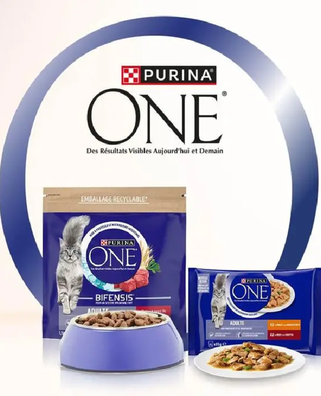 Purina ONE Chat