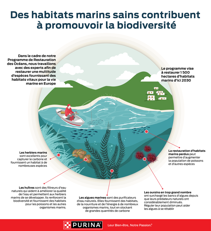 À propos de nos partenaires et de leurs solutions de restauration marine