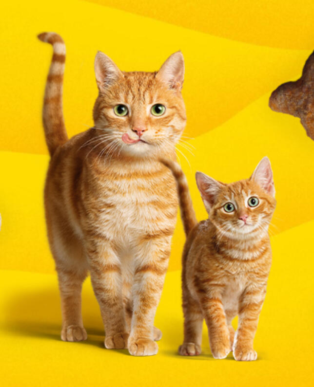 Friskies
