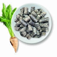 Pulpe de betterave séchée