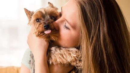 Éduquer un chien agressif, peureux, dominant ou possessif