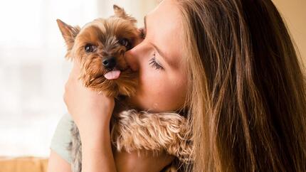 Éduquer un chien agressif, peureux, dominant ou possessif