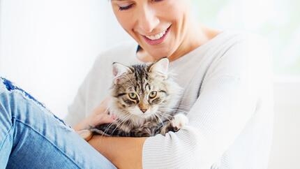 Comment choisir un chat a adopter en refuge ?