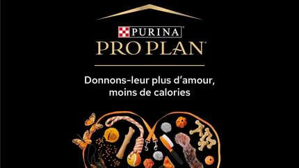 PURINA s’engage dans la prévention de l’obésité chez le chien et le chat