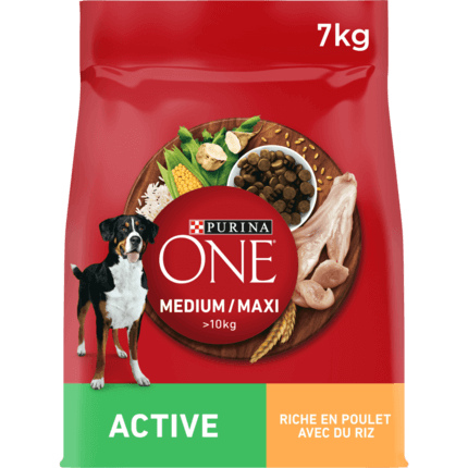 Purina® ONE® MEDIUM MAXI > 10kg Active, Croquettes pour chien actif Riche en Poulet avec du Riz -