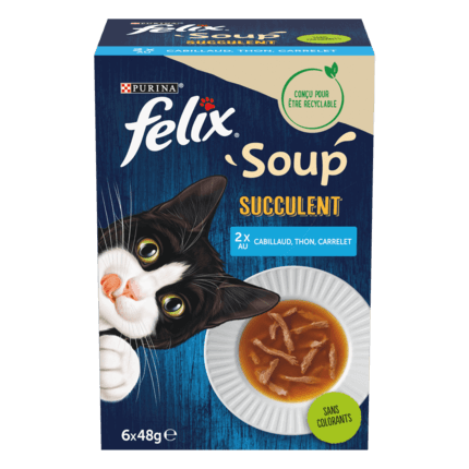 Felix SOUP Succulent