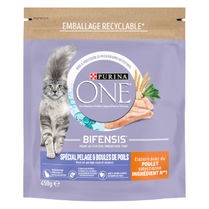 Purina ONE® - Croquettes pour Chat Spécial Pelage et Boules de Poils au Poulet et aux Céréales