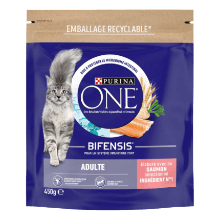 Purina ONE® - Croquettes pour Chat Adulte au Saumon et aux Céréales