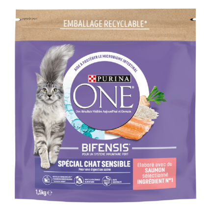 Purina® ONE® - Croquettes pour Chat Sensible au Saumon et au Riz