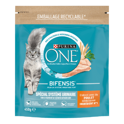 Purina ONE® - Croquettes Urinary Care pour Chat au Poulet