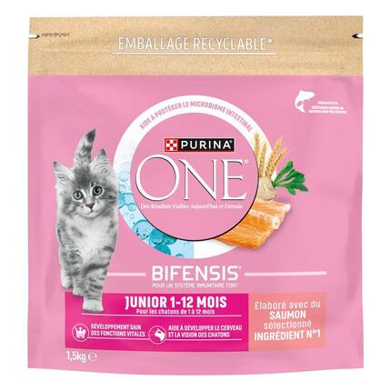 Purina ONE® - Croquettes Junior pour Chaton de 1 à 12 mois au Saumon