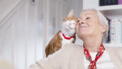Animaux de compagnie : alliés bien-être des seniors au quotidien