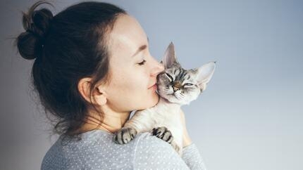 Idées de prénoms pour chat femelle