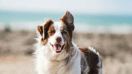 Bien démarrer : les bases d’une bonne mobilité