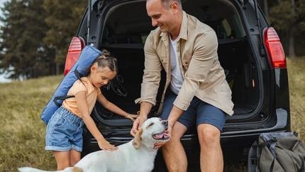 Le transport d’un chien en voiture : sécurité et réglementation