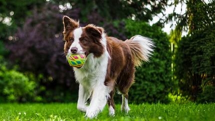 Poids & mouvement : l’équilibre essentiel